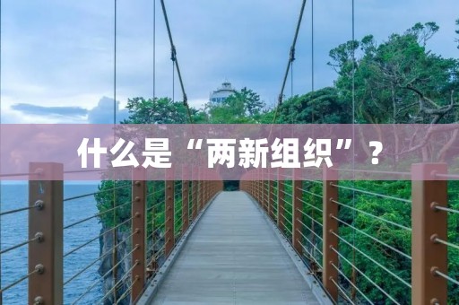 什么是“两新组织”？