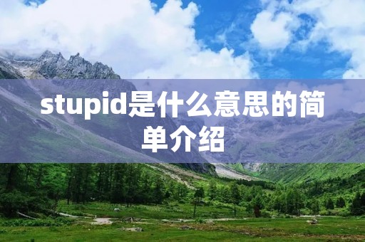 stupid是什么意思的简单介绍 stupid是什么意思的简单介绍