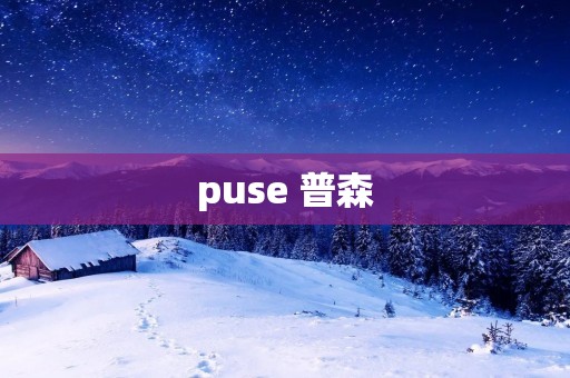 puse 普森