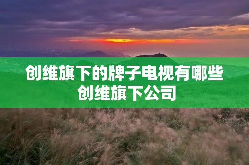 创维旗下的牌子电视有哪些 创维旗下公司