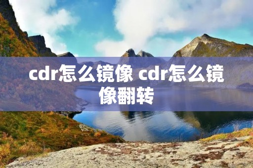 cdr怎么镜像 cdr怎么镜像翻转 cdr怎么镜像 cdr怎么镜像翻转