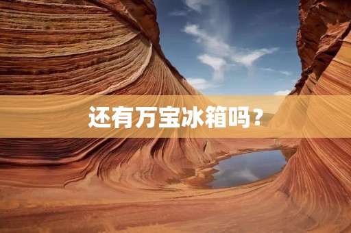还有万宝冰箱吗?