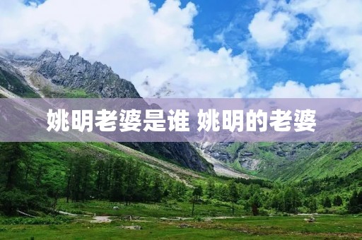 姚明老婆是谁 姚明的老婆 姚明老婆是谁 姚明的老婆