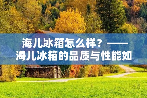 海儿冰箱怎么样?——海儿冰箱的品质与性能如何?