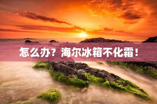 怎么办?海尔冰箱不化霜!