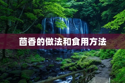 茴香的做法和食用方法