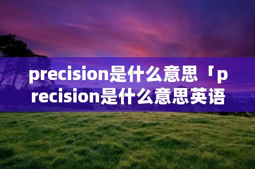 precision是什么意思「precision是什么意思英语」