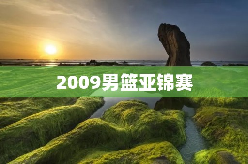 2009男篮亚锦赛:中国男篮惜败韩国,无缘四强 2009男篮亚锦赛:中国男篮惜败韩国,无缘四强