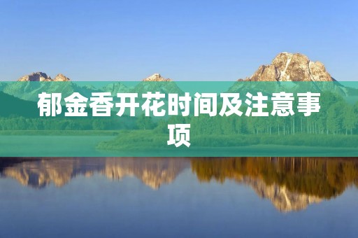 郁金香开花时间及注意事项