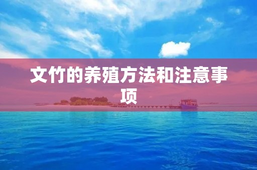 文竹的养殖方法和注意事项
