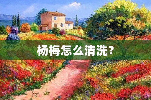 杨梅怎么清洗？