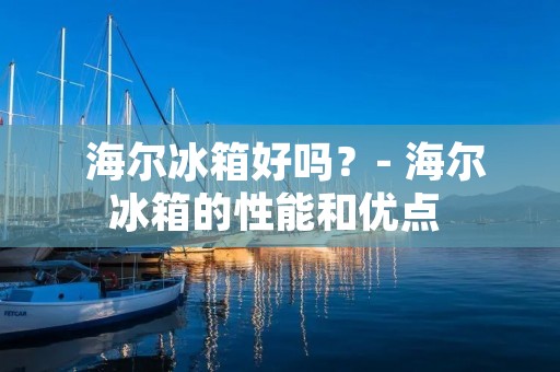  海尔冰箱好吗？- 海尔冰箱的性能和优点 