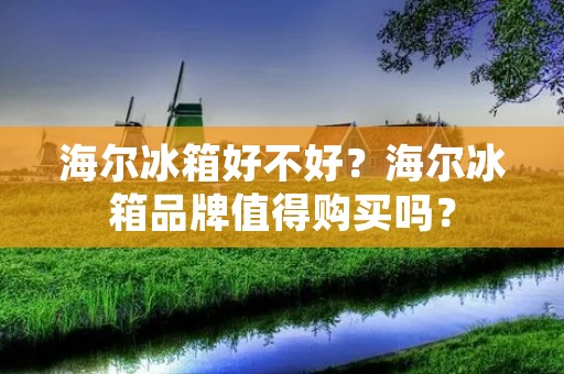 海尔冰箱好不好？海尔冰箱品牌值得购买吗？