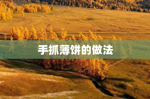 手抓薄饼的做法 手抓薄饼的做法