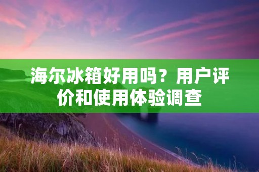 海尔冰箱好用吗?用户评价和使用体验调查