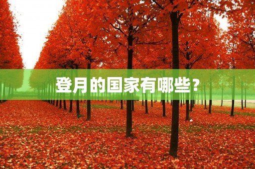 登月的国家有哪些？