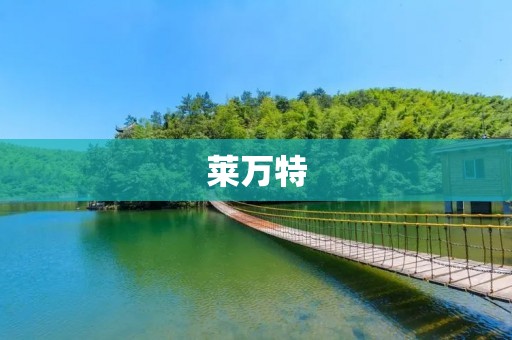 莱万特：西班牙瓷砖之都