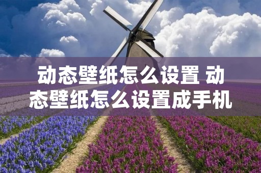 动态壁纸怎么设置 动态壁纸怎么设置成手机壁纸vivo
