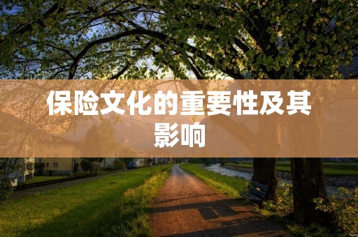 保险文化的重要性及其影响