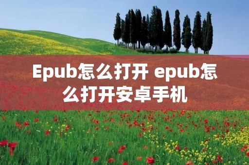 Epub怎么打开 epub怎么打开安卓手机