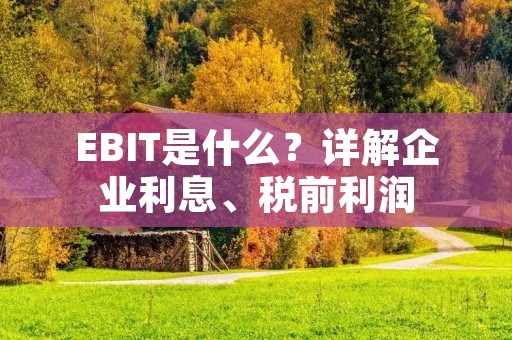 EBIT是什么?详解企业利息、税前利润 EBIT是什么?详解企业利息、税前利润