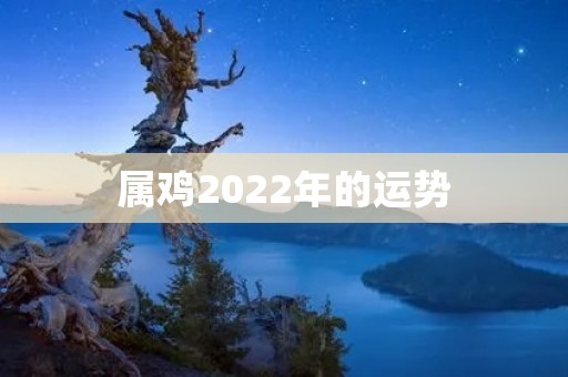 属鸡2022年的运势：顺风顺水的好运来了
