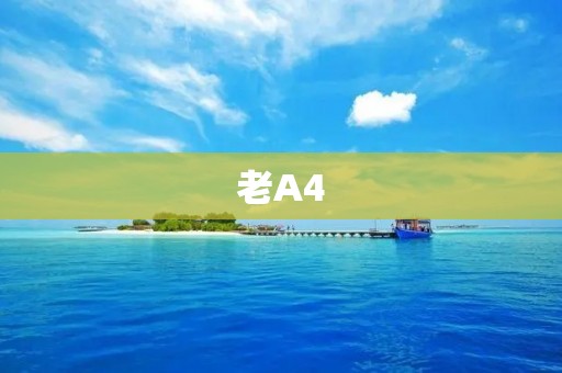 老A4：国产车的骄傲！