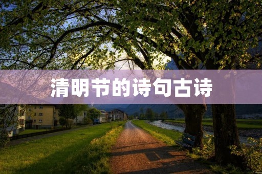 清明节的诗句古诗