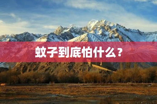 蚊子到底怕什么？