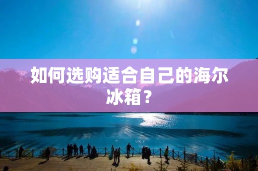 如何选购适合自己的海尔冰箱？