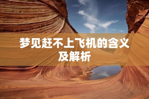 梦见赶不上飞机的含义及解析