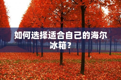 如何选择适合自己的海尔冰箱？