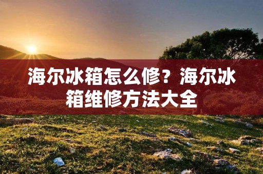 海尔冰箱怎么修?海尔冰箱维修方法大全 海尔冰箱怎么修?海尔冰箱维修方法大全