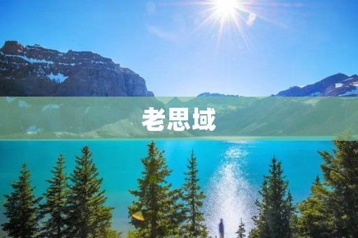 老思域:经典车型重现新生 老思域:经典车型重现新生