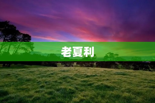老夏利：一个传奇的汽车品牌