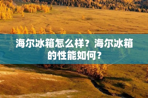 海尔冰箱怎么样？海尔冰箱的性能如何？