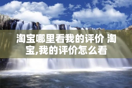 淘宝哪里看我的评价 淘宝,我的评价怎么看