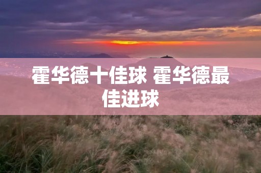 霍华德十佳球 霍华德最佳进球