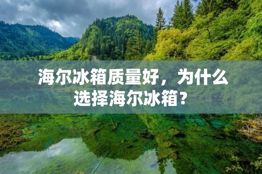 海尔冰箱质量好,为什么选择海尔冰箱? 海尔冰箱质量好,为什么选择海尔冰箱?