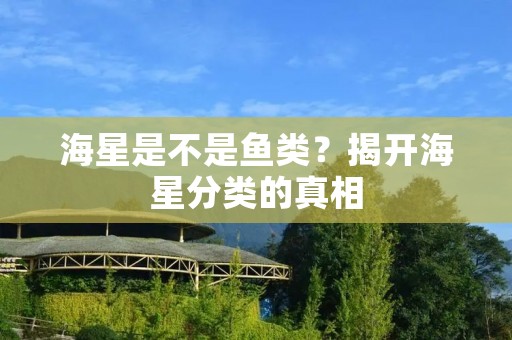 海星是不是鱼类？揭开海星分类的真相