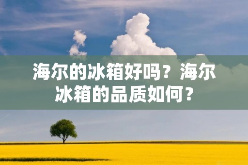 海尔的冰箱好吗？海尔冰箱的品质如何？