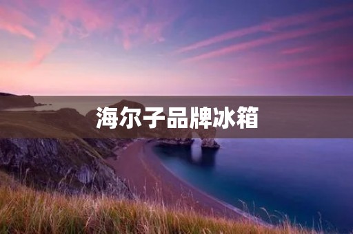 海尔子品牌冰箱：高品质生活的必备家电