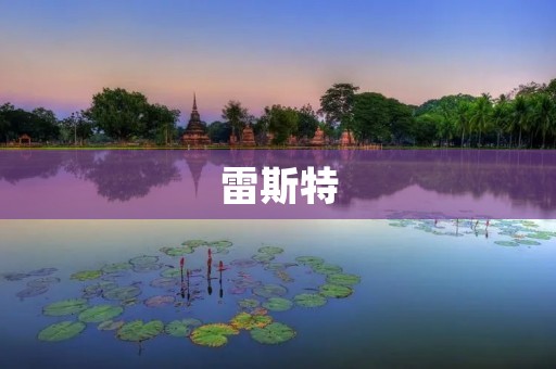 雷斯特:全球领先的电力设备制造商 雷斯特:全球领先的电力设备制造商