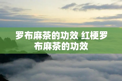 罗布麻茶的功效 红梗罗布麻茶的功效 罗布麻茶的功效 红梗罗布麻茶的功效