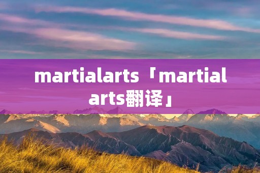 martialarts「martialarts翻译」