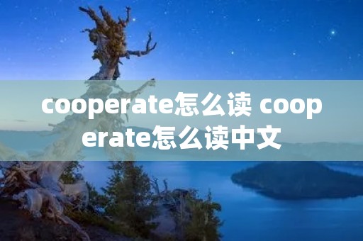 cooperate怎么读 cooperate怎么读中文
