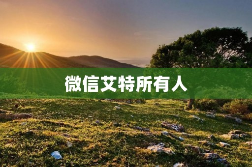 微信艾特所有人：如何正确使用微信艾特功能？