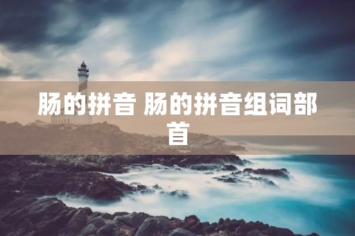 肠的拼音 肠的拼音组词部首