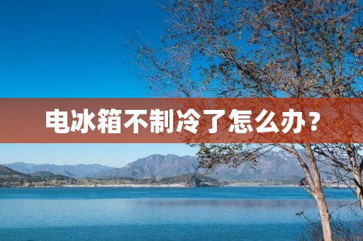 电冰箱不制冷了怎么办? 电冰箱不制冷了怎么办?