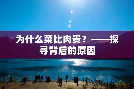 为什么菜比肉贵?——探寻背后的原因